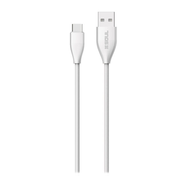 USB-STYPE1 1